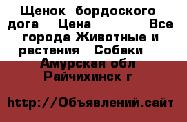 Щенок  бордоского  дога. › Цена ­ 60 000 - Все города Животные и растения » Собаки   . Амурская обл.,Райчихинск г.